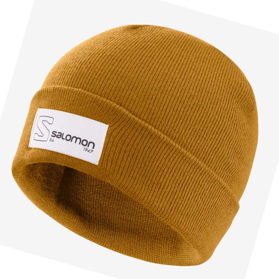 Salomon OUTLIFE LOGO Kalap Női Barna | HU 3468HAP